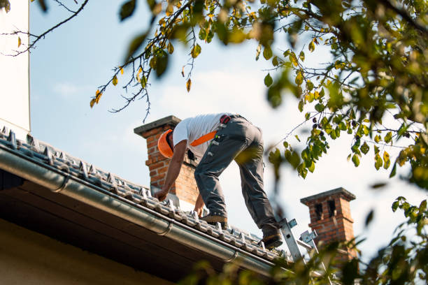 Best Roof Gutter Cleaning  in Harrisburg, NC